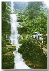 散放式大熊貓生態(tài)園——雅安碧峰峽