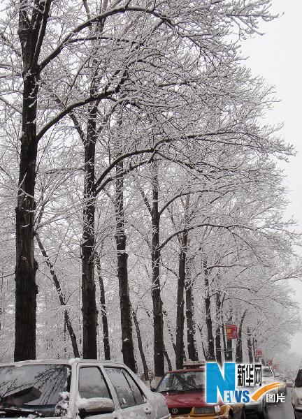 吉林省出現大范圍雨雪天氣