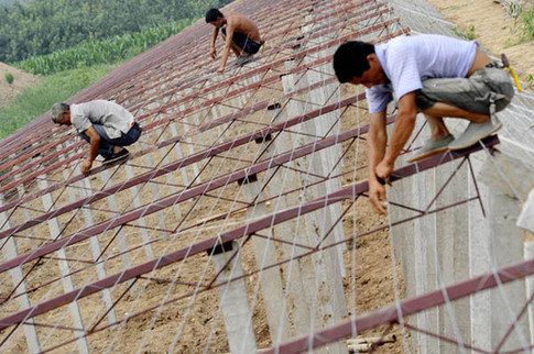 山西啟動(dòng)百萬(wàn)畝設(shè)施蔬菜計(jì)劃