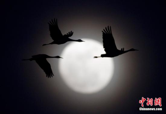 “超級月亮”將在本周末出現 不會引發(fā)災難