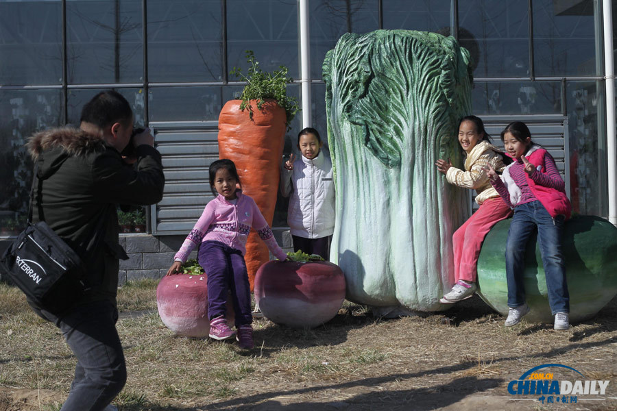 首屆“北京農(nóng)業(yè)嘉年華”活動舉行