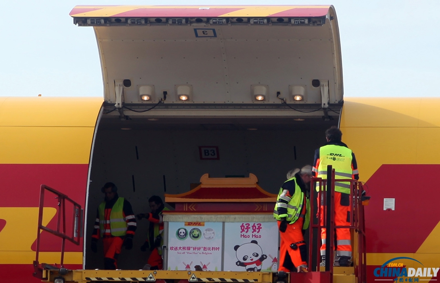 大熊貓“星徽”“好好”抵達比利時