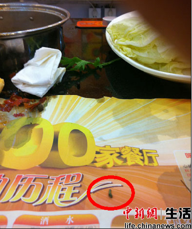 北京呷哺呷哺連鎖店吃出活蟲 自稱衛(wèi)生清潔第一