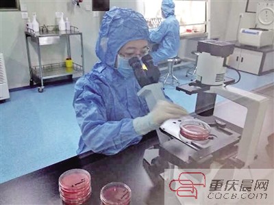 重慶水土高新園將建全球最大血液病醫(yī)院