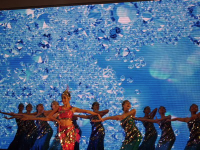 第三屆南洋文化節(jié)鷺島開幕