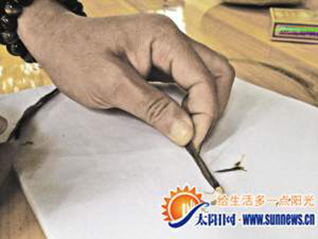 千年古木引四五百人前來觀賞 有人叫價八十萬收購