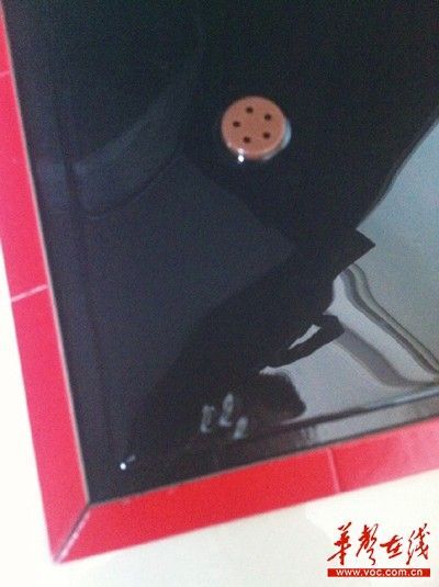 鼠王復(fù)仇闖貓窩一連咬死三貓崽 主人喊“逆天”