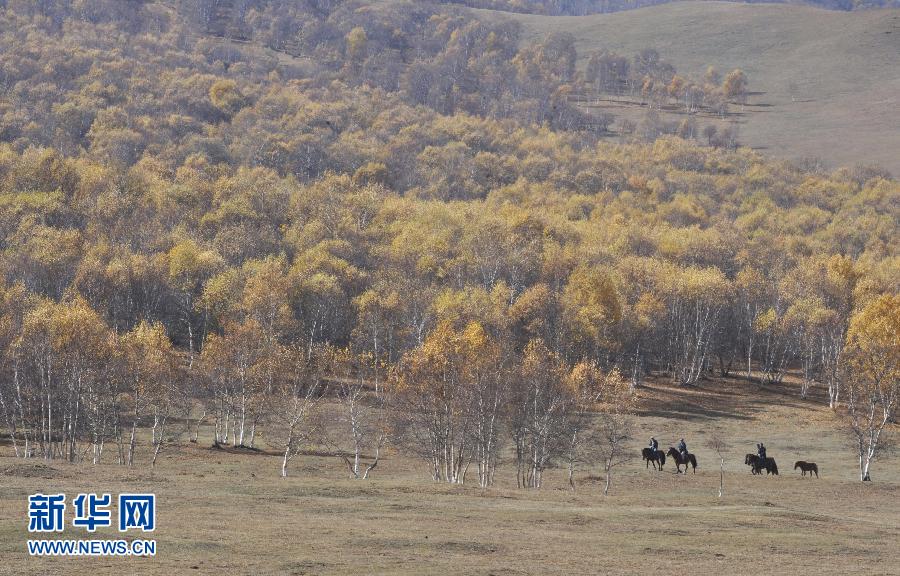 2013年國(guó)慶黃金周游客量達(dá)3124.51萬(wàn)人次