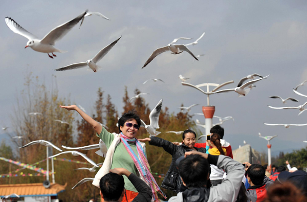 上萬(wàn)只紅嘴鷗在“春城”昆明越冬