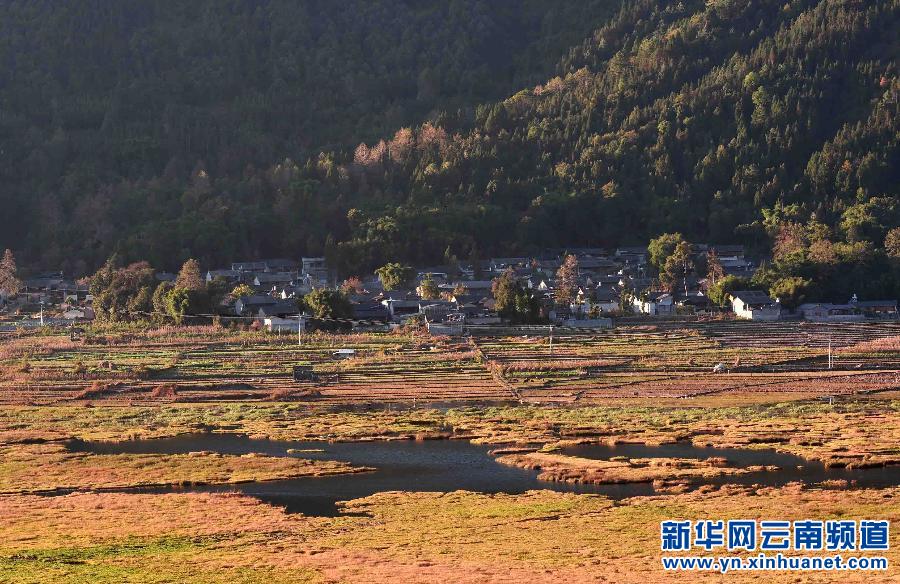 草豐水美的云南北海濕地