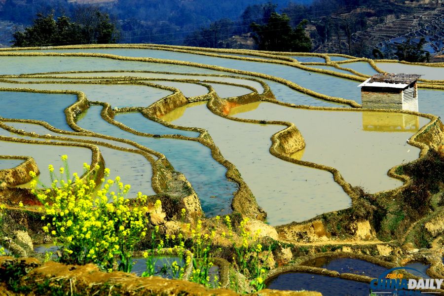 云南元陽(yáng)自駕攝影之旅：哈尼梯田三月春夢(mèng)幻