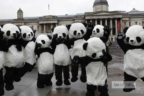 108名“熊貓人”倫敦打太極 呼吁人們保護野生動物