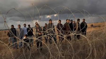 巴方譴責以軍槍殺加沙農(nóng)民 阿巴斯鐵定下周申請“入聯(lián)”