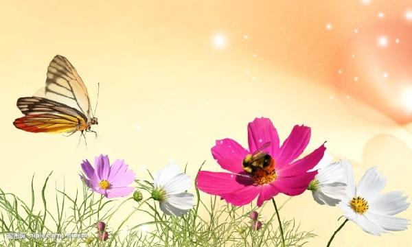 春天，一起來讀詩，雙語的！