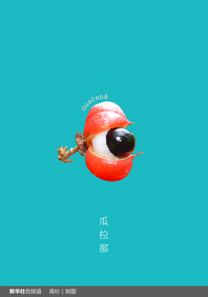 “瘋狂水果城”里約：給你點顏色瞧瞧！