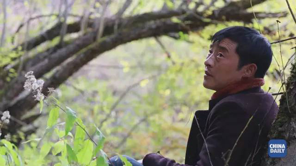 小康之路：他們曾經(jīng)是伐木人，如今卻成了護林員和藏香廠老板丨解碼中國