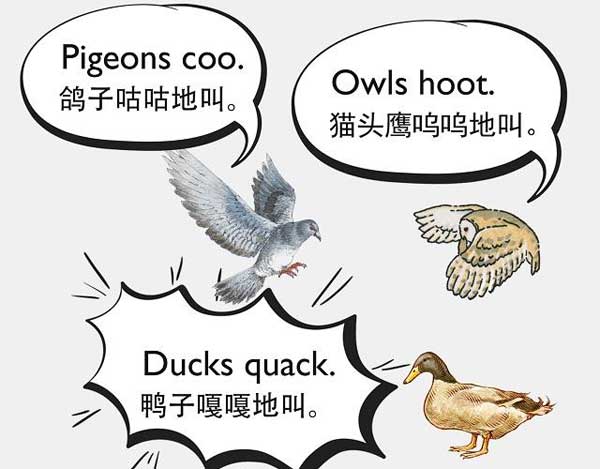 自然界中有各種聲音 如何用英語(yǔ)來(lái)描述動(dòng)物的叫聲？