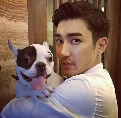 明星愛犬咬傷鄰居間接致其死亡，寵物不拴繩害人也害狗
